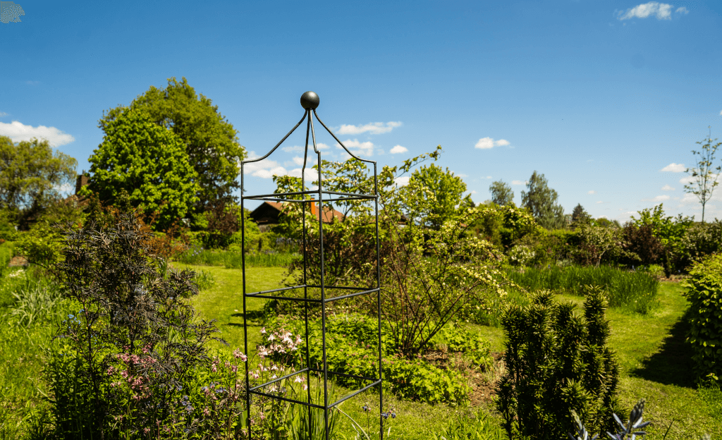 Rankobelisk Cantania in einem gruenen Garten