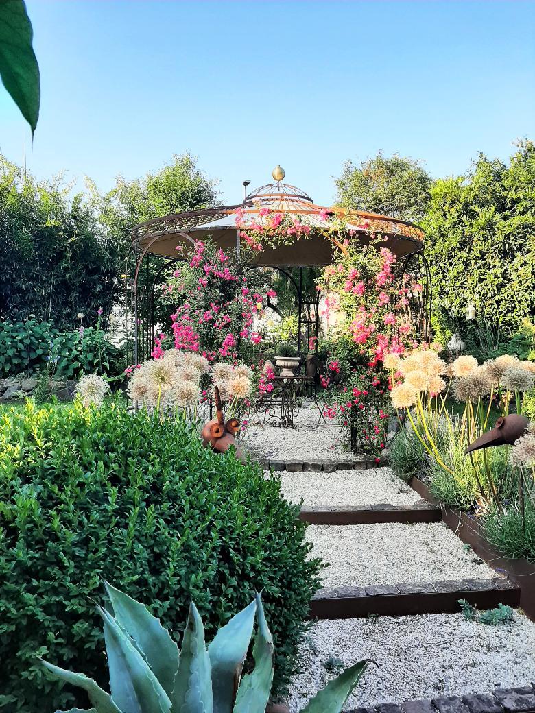 ELEO Pavillon Florenz, unbeschichtet, als Rosenpavillon im Garten mit Rosen berankt